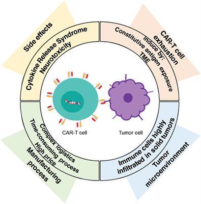 Frontiers Chimeric Antigen Receptor T Cells A Pharmaceutical Scope